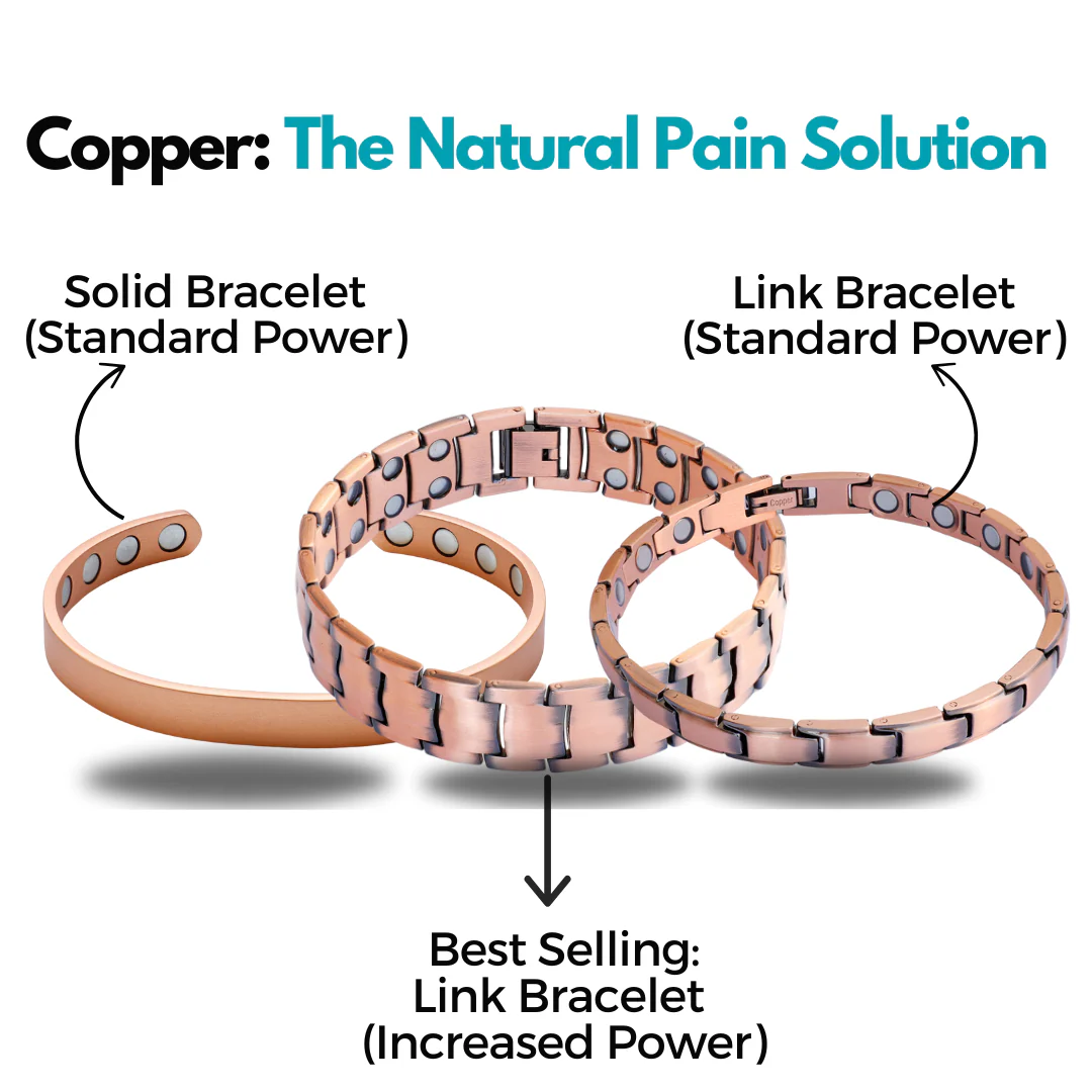 energy revolution system program